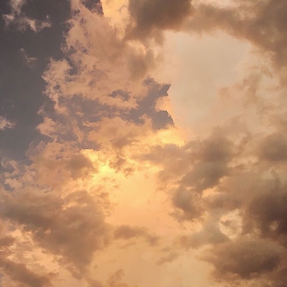 Meet your Posher, Madison - Picture 1 of 1